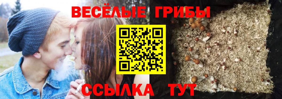 Галлюциногенные грибы мицелий  Вход с VPN  Тольятти 