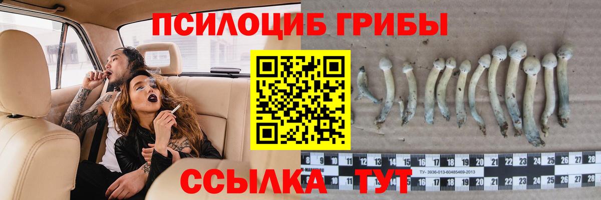 Псилоцибиновые грибы GOLDEN TEACHER Тольятти
